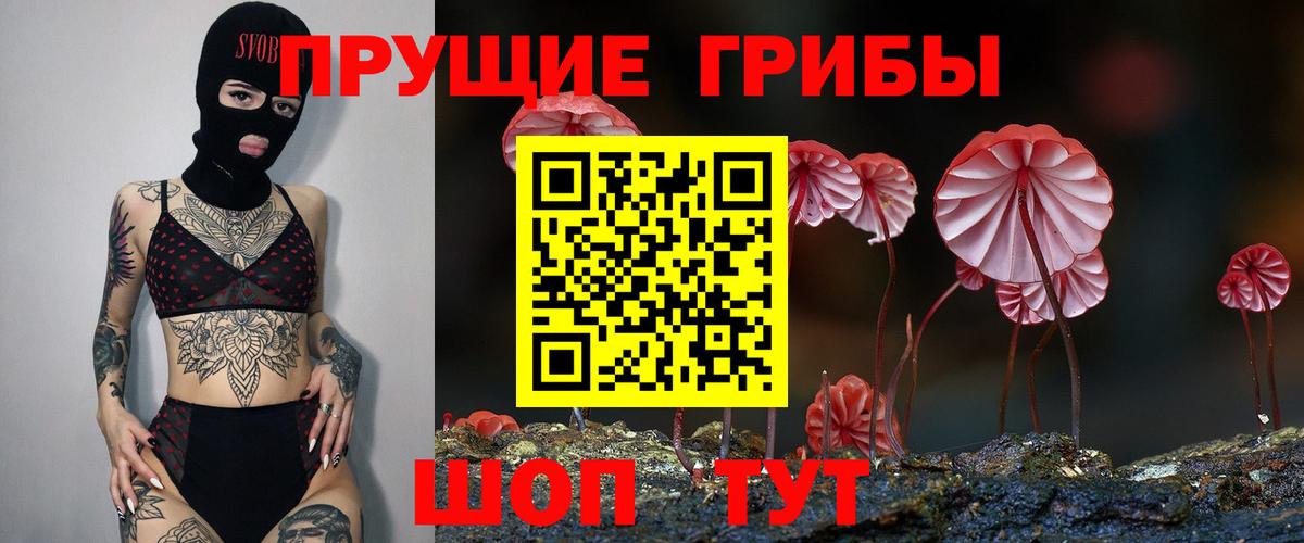 Галлюциногенные грибы Cubensis Богородицк
